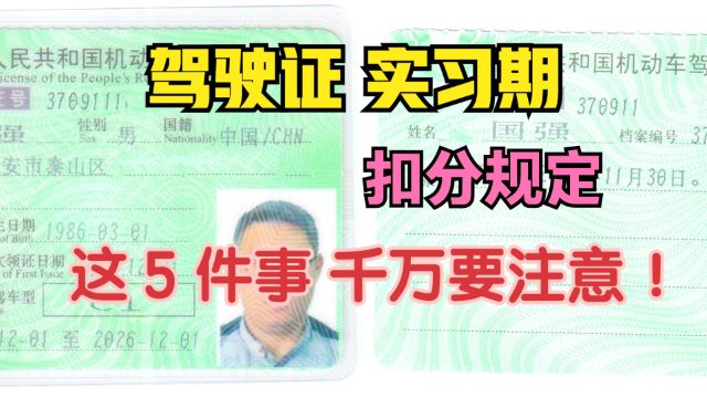 驾驶证实习期扣分规定 实习期内开车上路 有哪些需要注意的地方