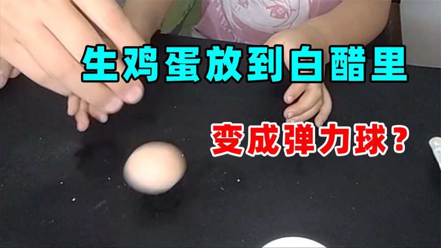 把生鸡蛋放到白醋里，鸡蛋壳变软就能变成弹力球？实验验证一下！